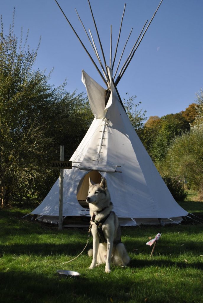 cani rando aux tipis du bonheur de vivre