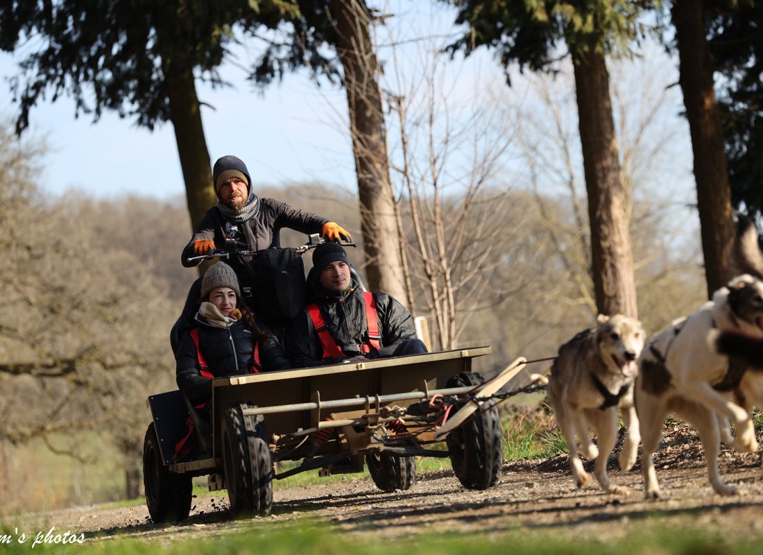 Cani-kart