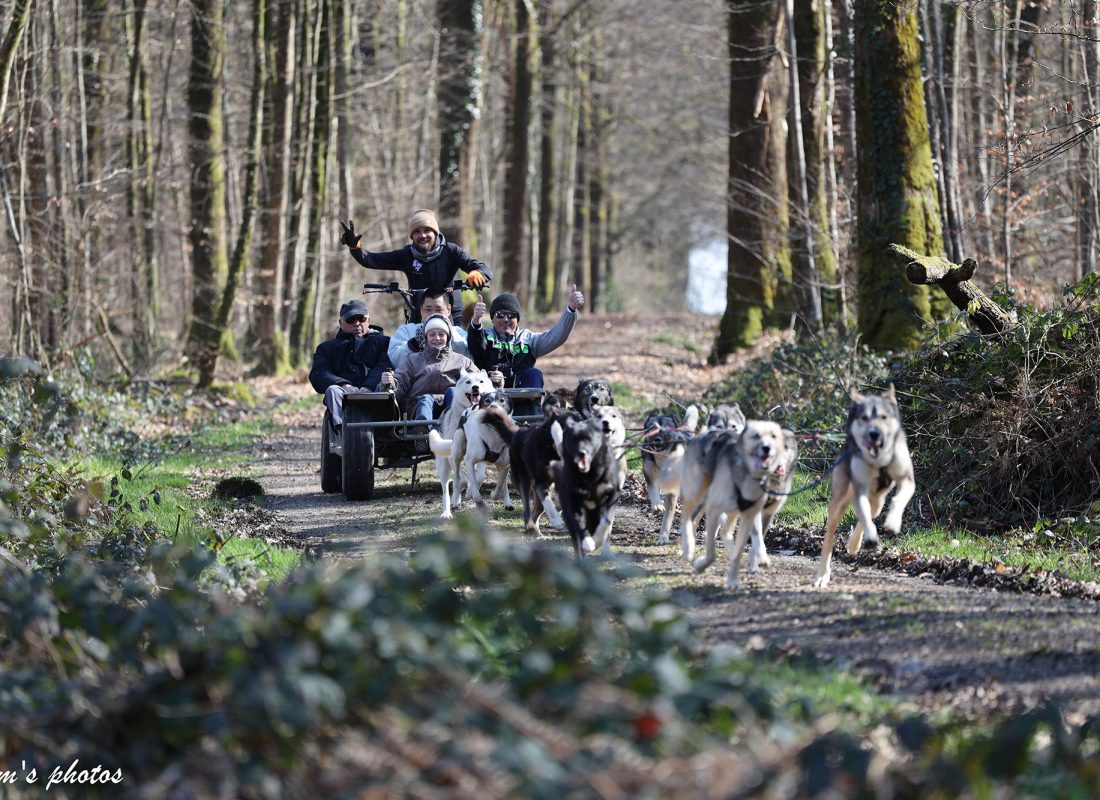 Cani-kart