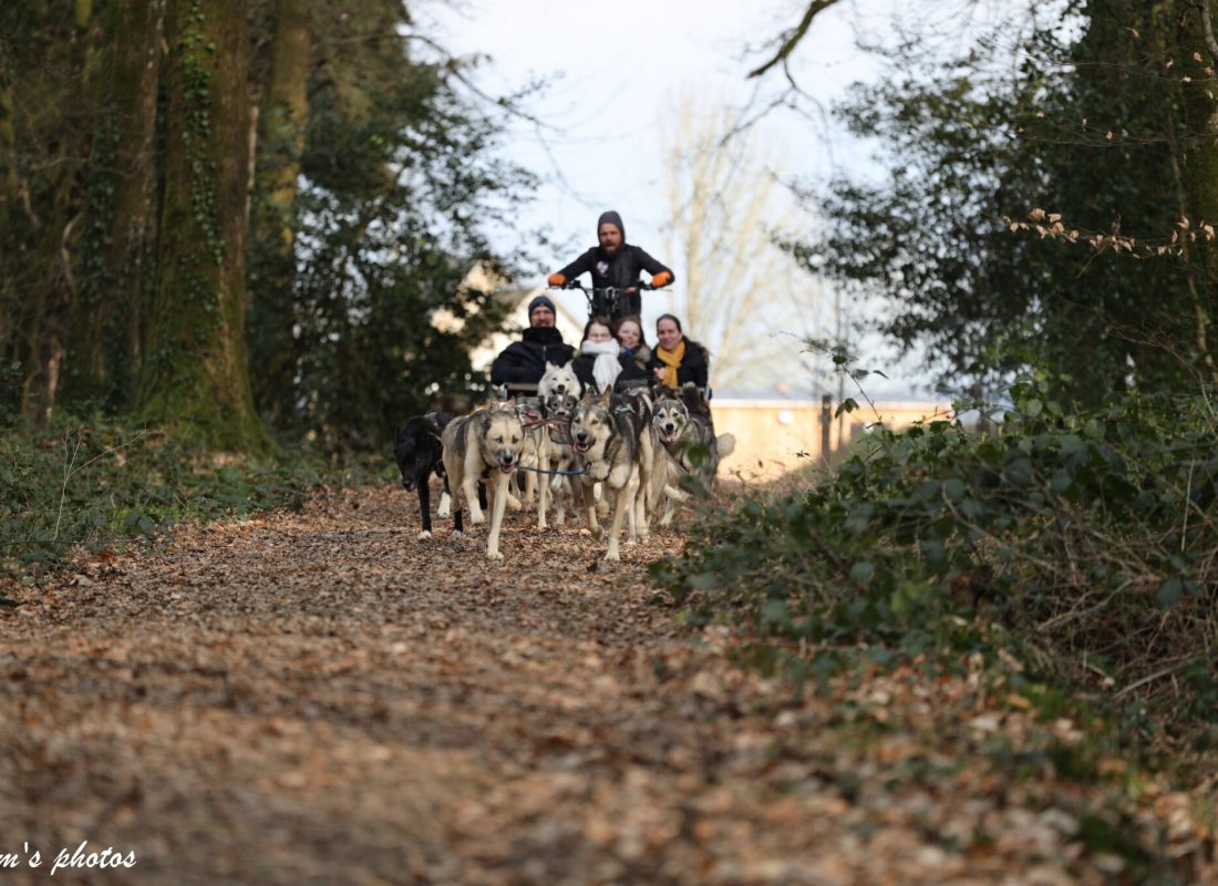 Cani-kart