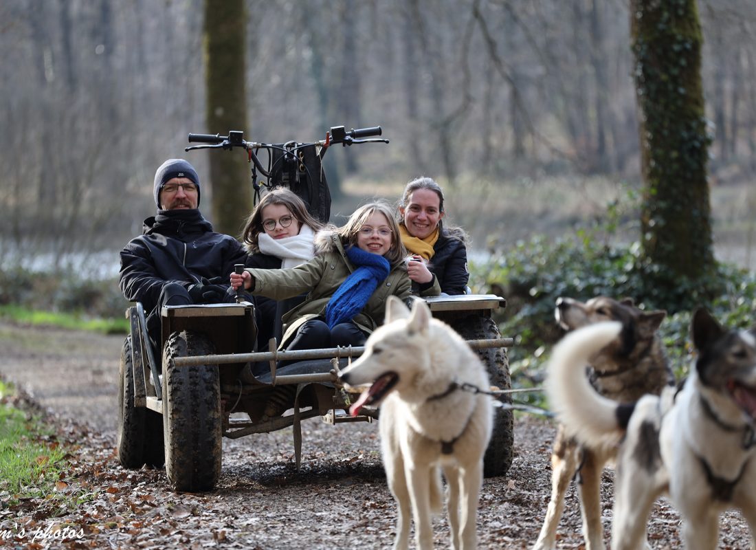 Cani-kart