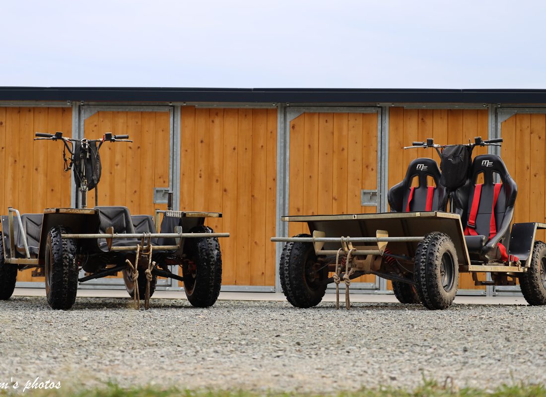Cani-kart