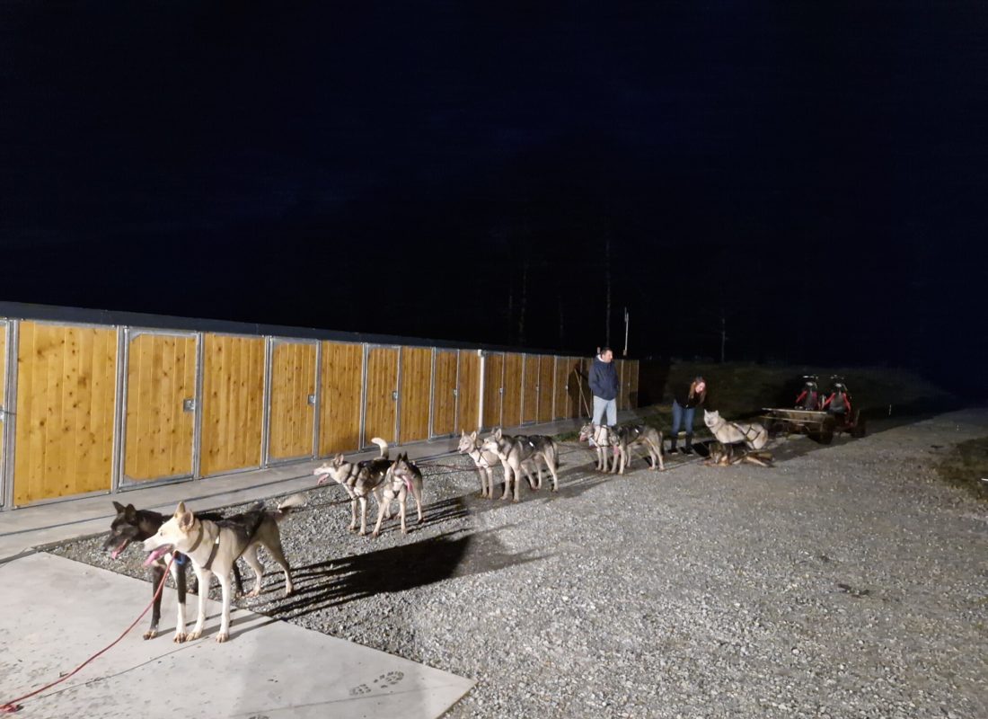 cani-kart nocturne