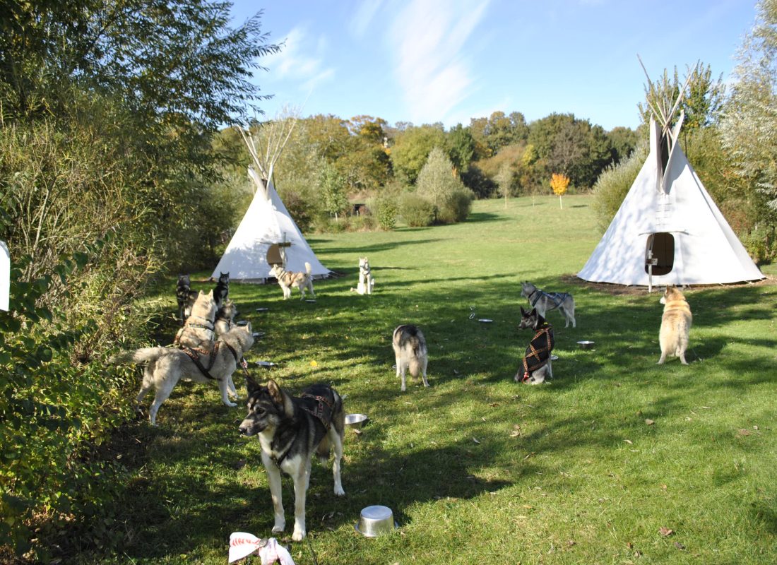 cani rando aux tipis du bonheur de vivre