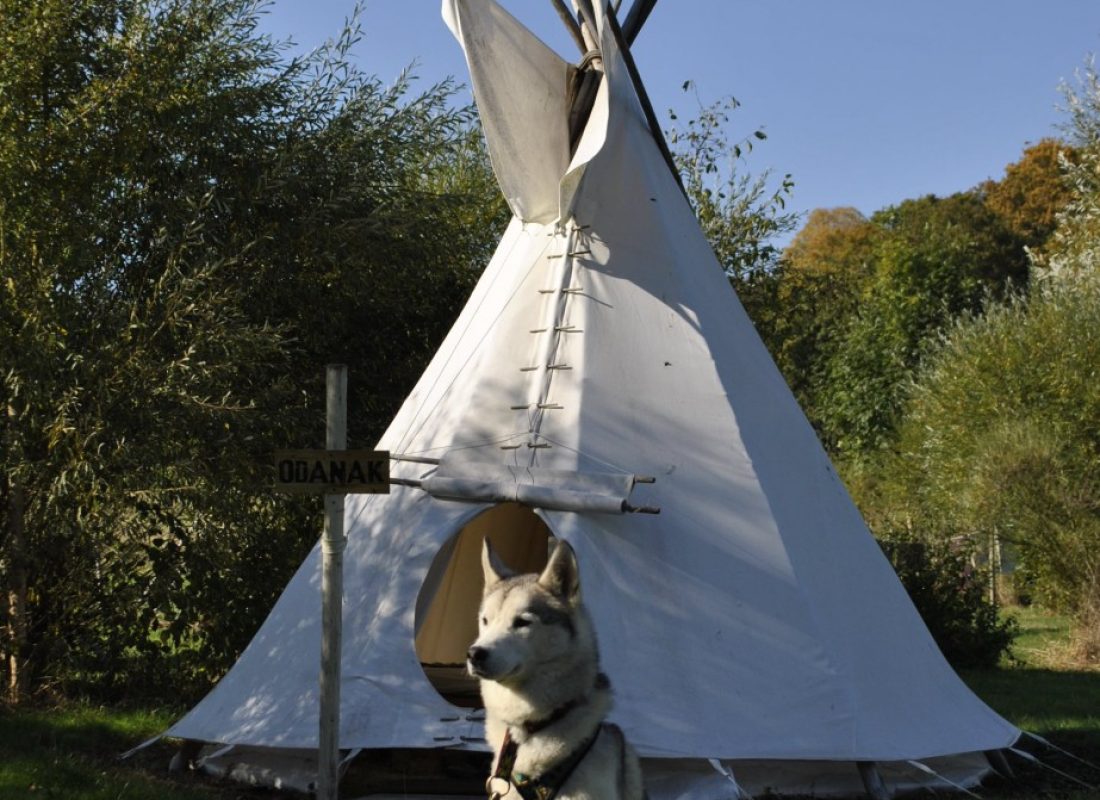 cani rando aux tipis du bonheur de vivre