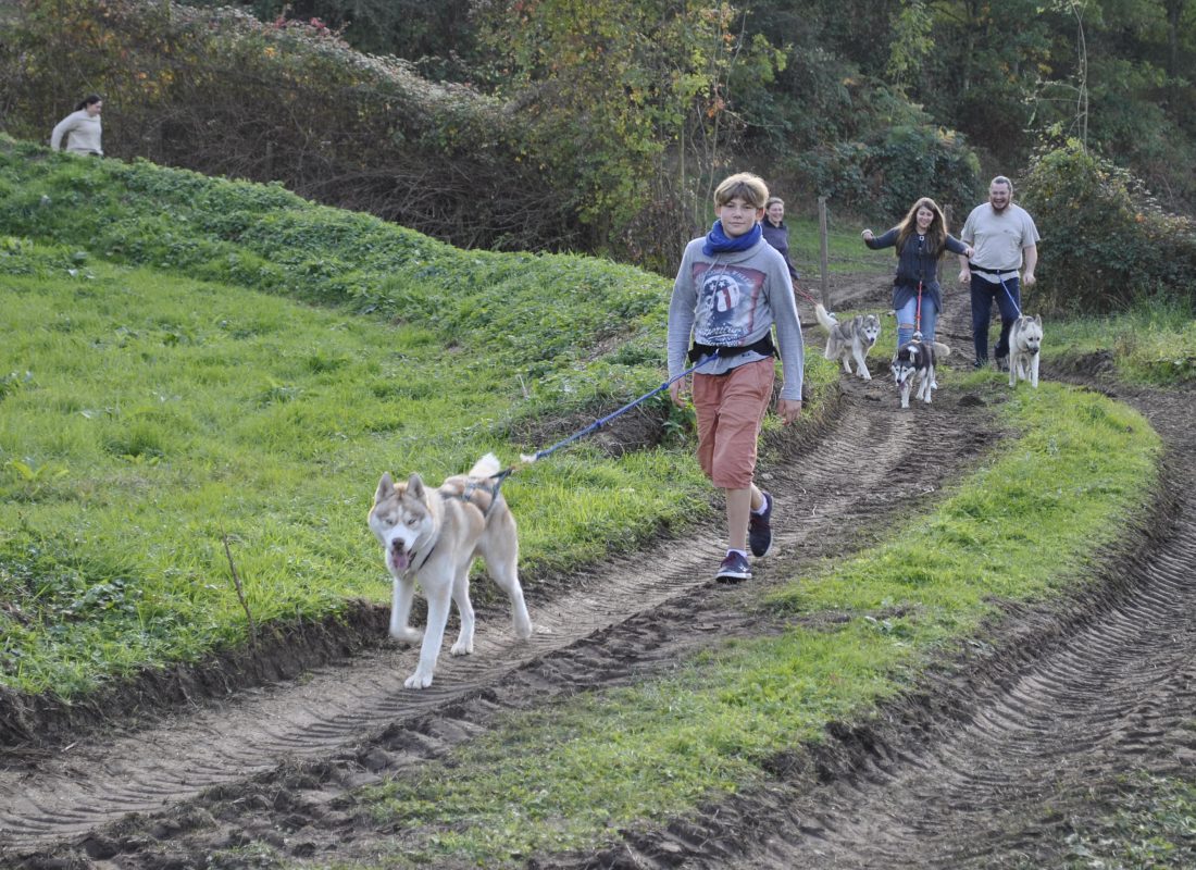 cani rando aux tipis du bonheur de vivre