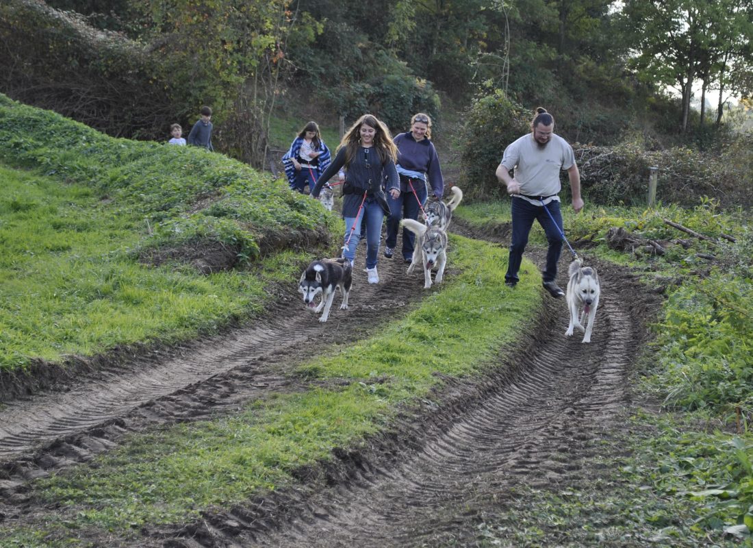 cani rando aux tipis du bonheur de vivre