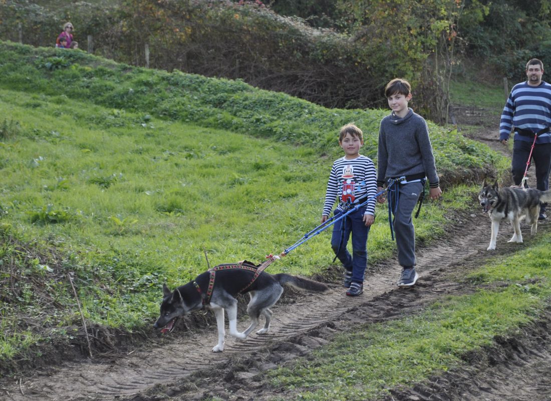 cani rando aux tipis du bonheur de vivre