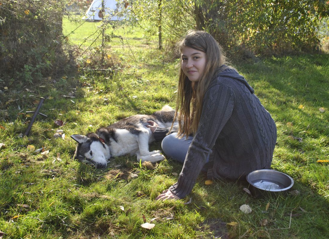 cani rando aux tipis du bonheur de vivre