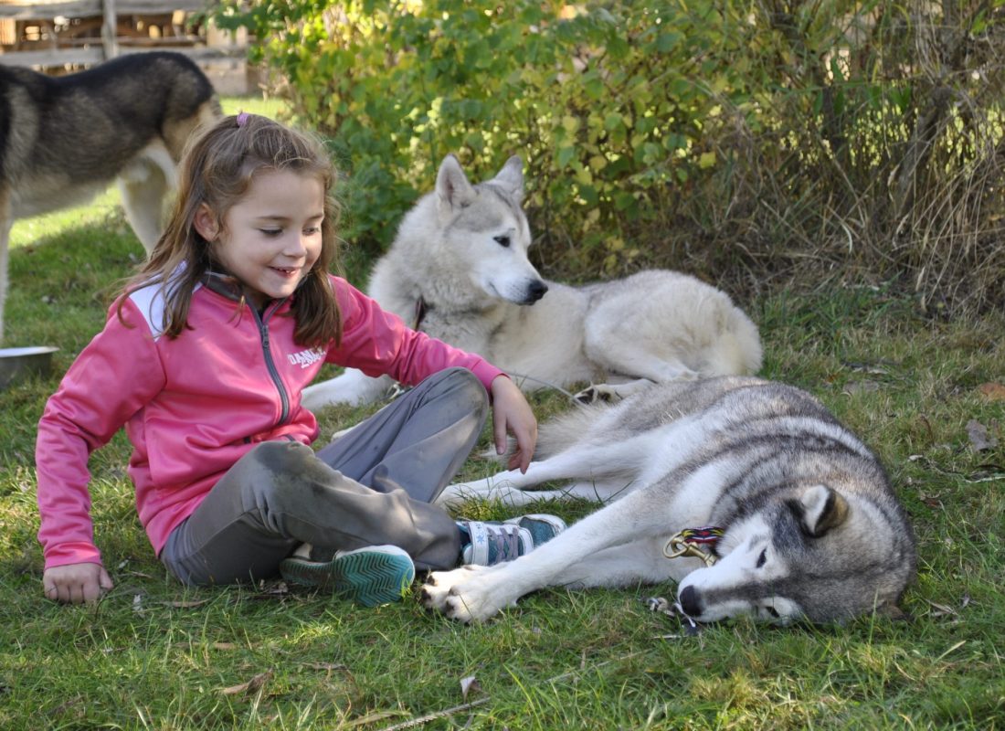 cani rando aux tipis du bonheur de vivre
