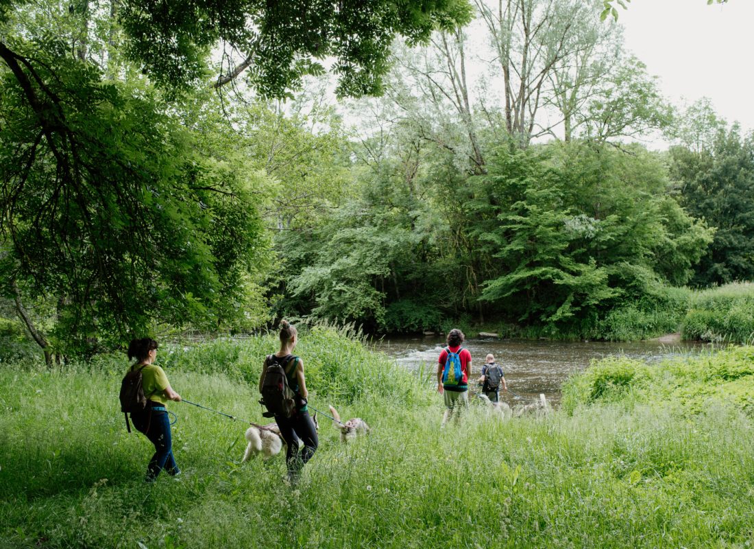 Cani-rando autour de Saint-Céneri-le-Gérei