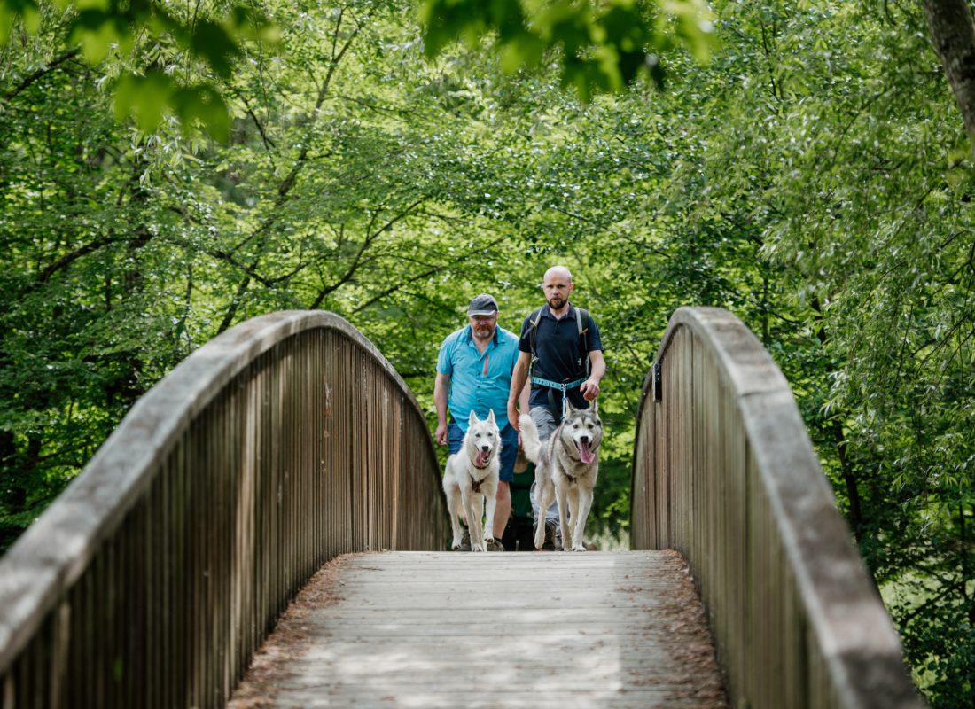 Cani-rando autour de Saint-Céneri-le-Gérei
