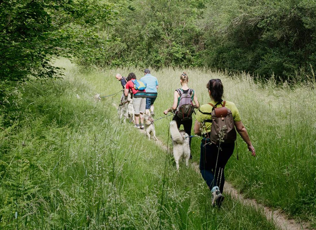 Cani-rando autour de Saint-Céneri-le-Gérei