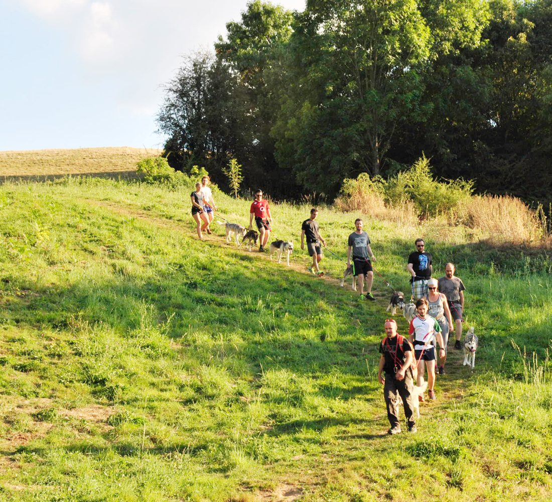Groupe de cani-rando