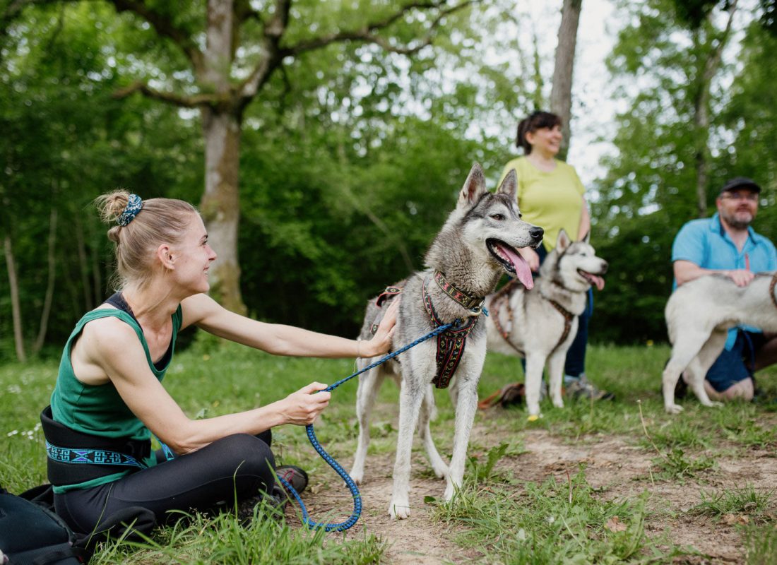 Cani-rando autour de Saint-Céneri-le-Gérei