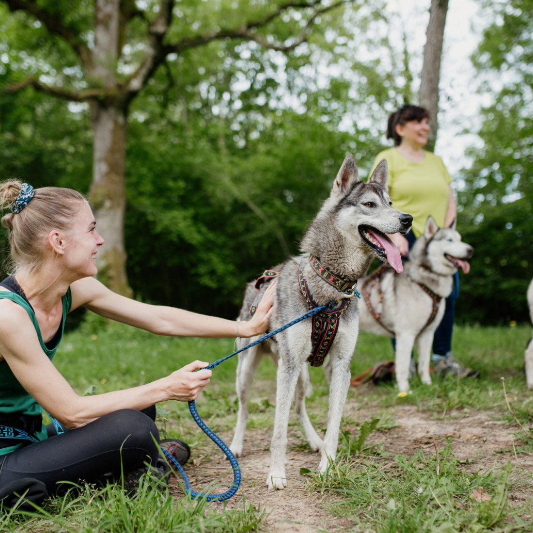 Cani-rando autour de Saint-Céneri-le-Gérei