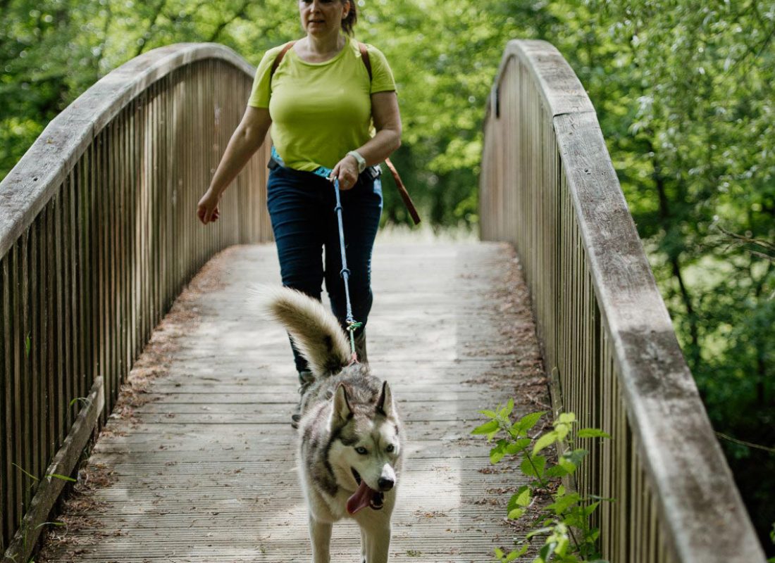 Cani-rando autour de Saint-Céneri-le-Gérei