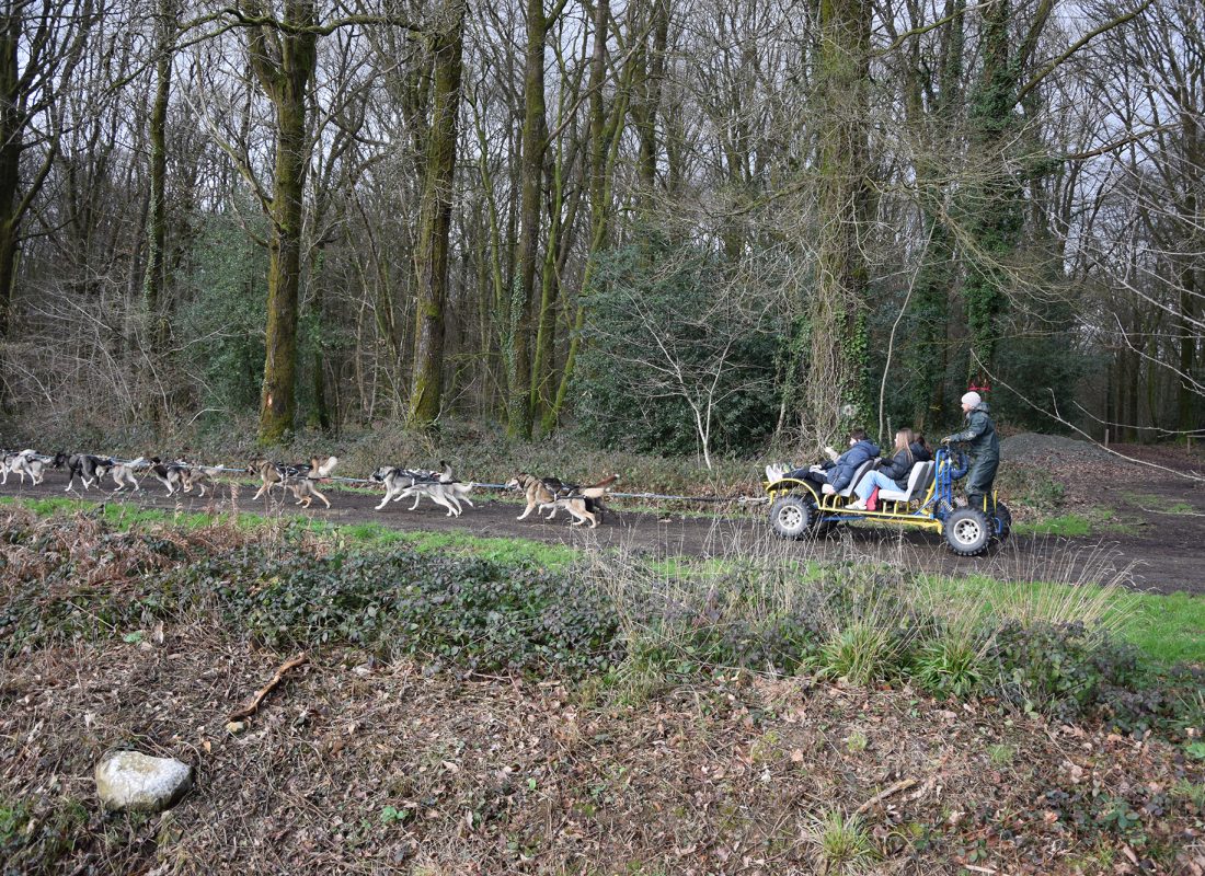 Cani-kart