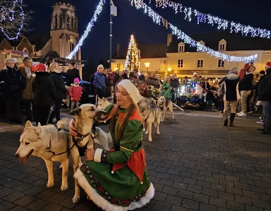 Père Noël en traineau