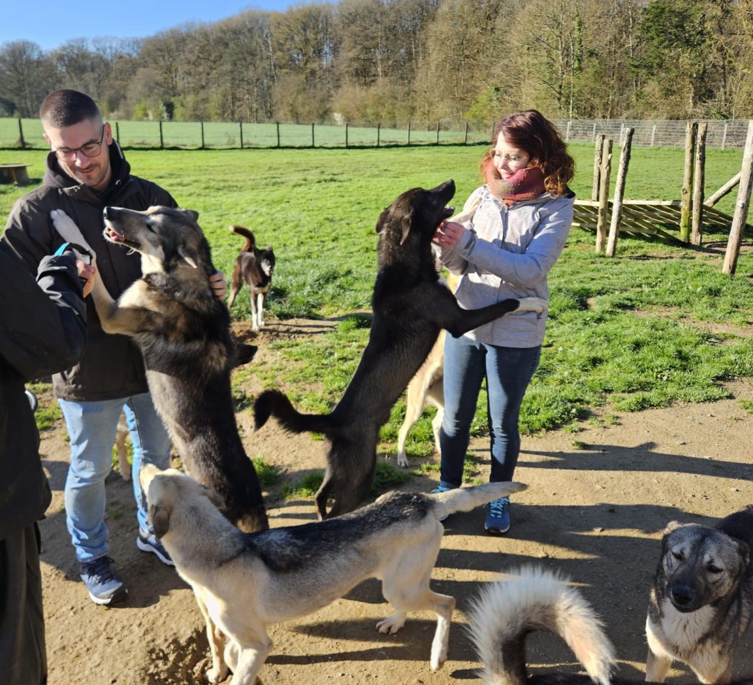 Visite du site