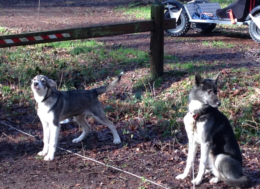 Snow et Taïga